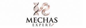 mechasexpert.com.br